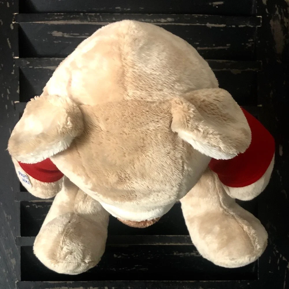 BUILD A BEAR Happy Bearthday Singing Teddy Bear
